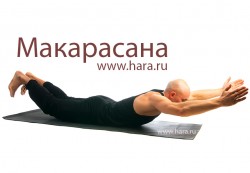 Макарасана в йоге