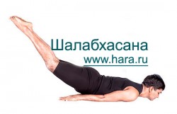 Шалабхасана, поза Саранчи в йоге