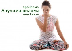 Анулома-вилома пранаяма Анулома-вилома пранаяма