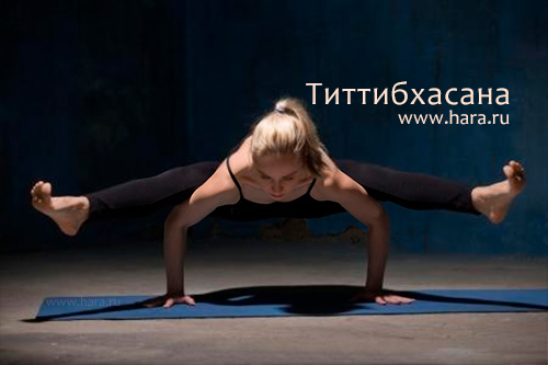 Титтибхасана, поза Светлячка в йоге