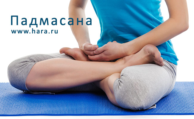 Падмасана, поза Лотоса